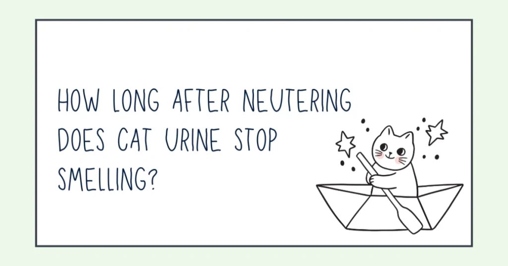 how long after neutering does cat urine stop smelling