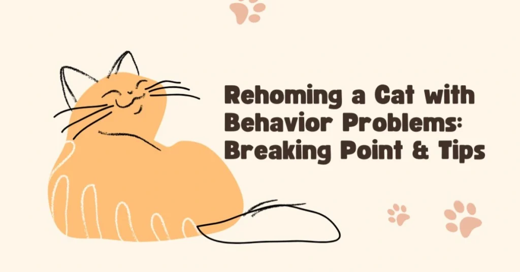 rehoming a cat with behavior problems